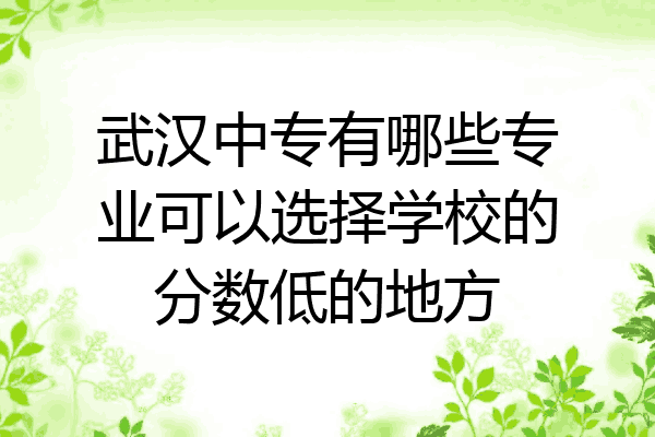 武汉中专有哪些专业可以选择学校的分数低的地方