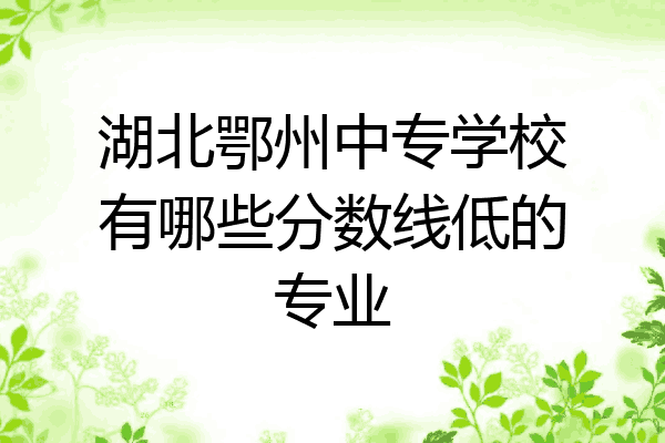 湖北鄂州中专学校有哪些分数线低的专业