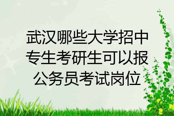 武汉哪些大学招中专生考研生可以报公务员考试岗位