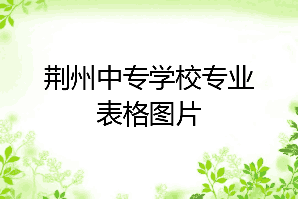 荆州中专学校专业表格图片