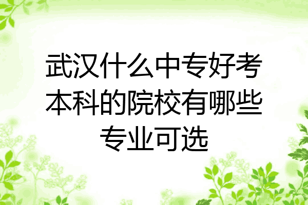 武汉什么中专好考本科的院校有哪些专业可选