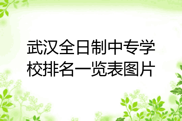 武汉全日制中专学校排名一览表图片