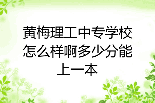 黄梅理工中专学校怎么样啊多少分能上一本