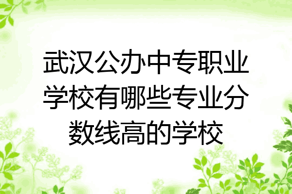 武汉公办中专职业学校有哪些专业分数线高的学校