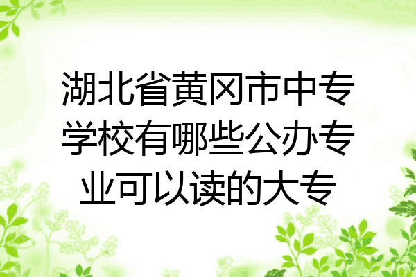 湖北省黄冈市中专学校有哪些公办专业可以读的大专