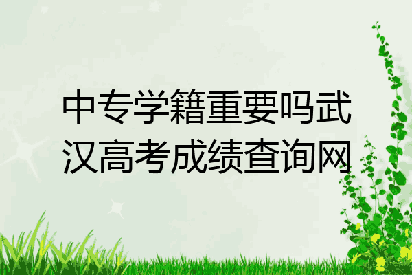 中专学籍重要吗武汉高考成绩查询网
