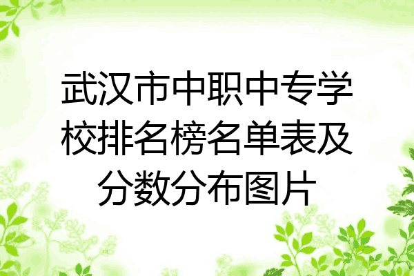 武汉市中职中专学校排名榜名单表及分数分布图片