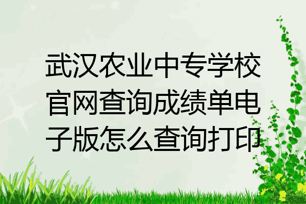 武汉农业中专学校官网查询成绩单电子版怎么查询打印