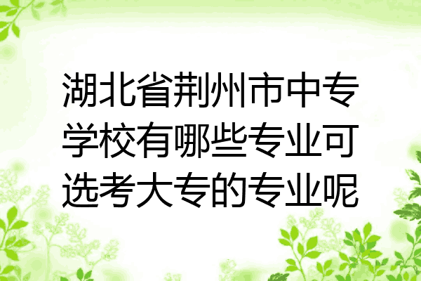 湖北省荆州市中专学校有哪些专业可选考大专的专业呢