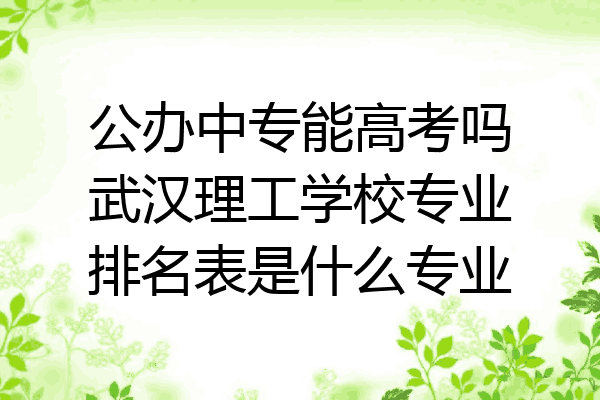 公办中专能高考吗武汉理工学校专业排名表是什么专业