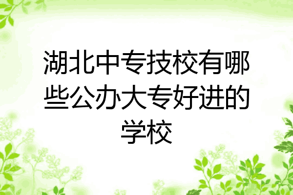 湖北中专技校有哪些公办大专好进的学校