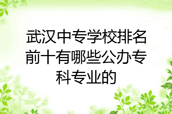 武汉中专学校排名前十有哪些公办专科专业的