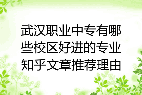 武汉职业中专有哪些校区好进的专业知乎文章推荐理由