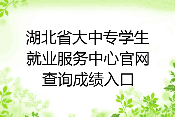 湖北省大中专学生就业服务中心官网查询成绩入口