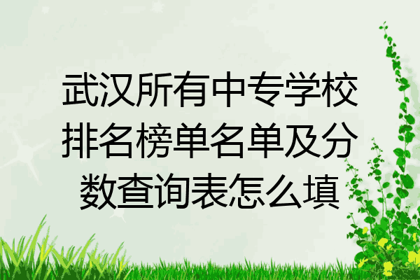 武汉所有中专学校排名榜单名单及分数查询表怎么填