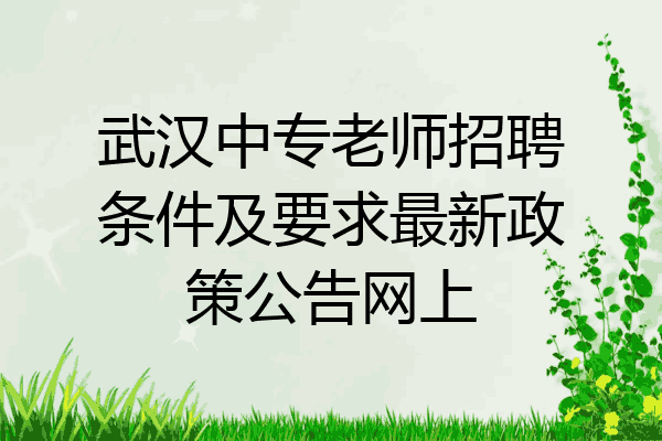 武汉中专老师招聘条件及要求最新政策公告网上