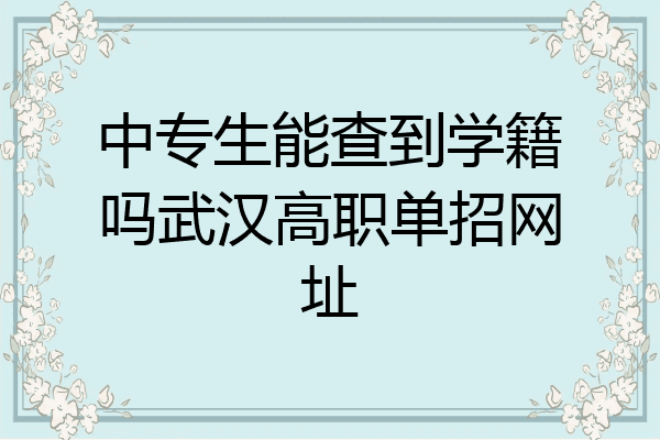 中专生能查到学籍吗武汉高职单招网址