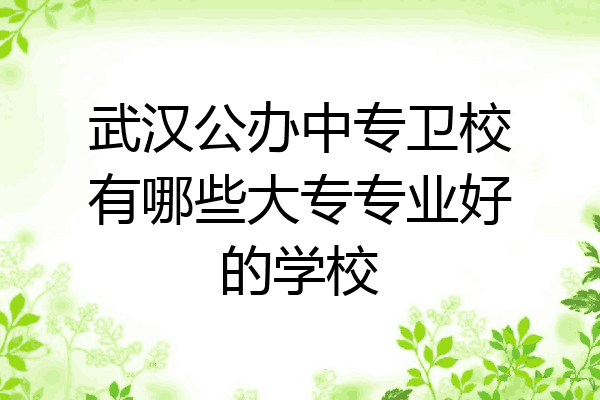 武汉公办中专卫校有哪些大专专业好的学校