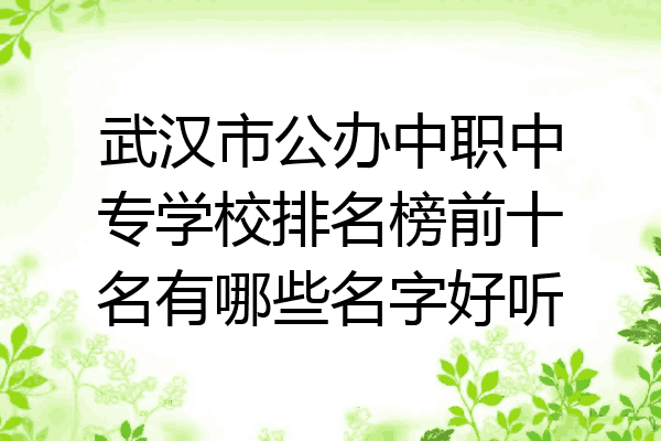 武汉市公办中职中专学校排名榜前十名有哪些名字好听