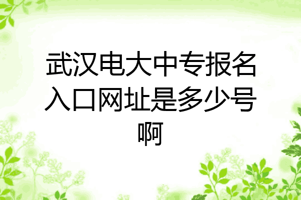 武汉电大中专报名入口网址是多少号啊