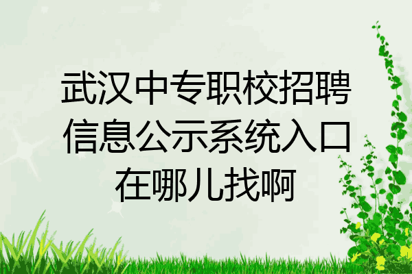 武汉中专职校招聘信息公示系统入口在哪儿找啊