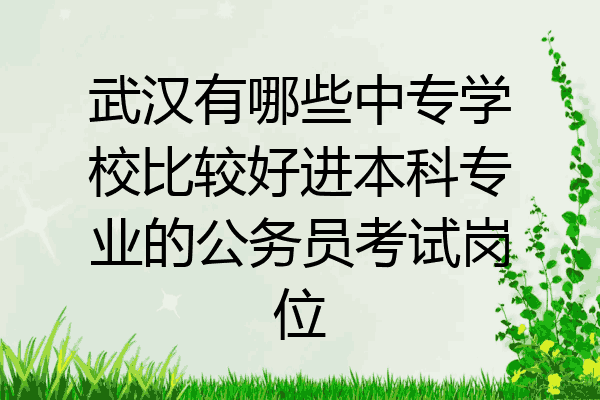 武汉有哪些中专学校比较好进本科专业的公务员考试岗位