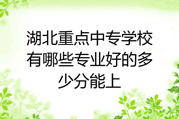 湖北重点中专学校有哪些专业好的多少分能上