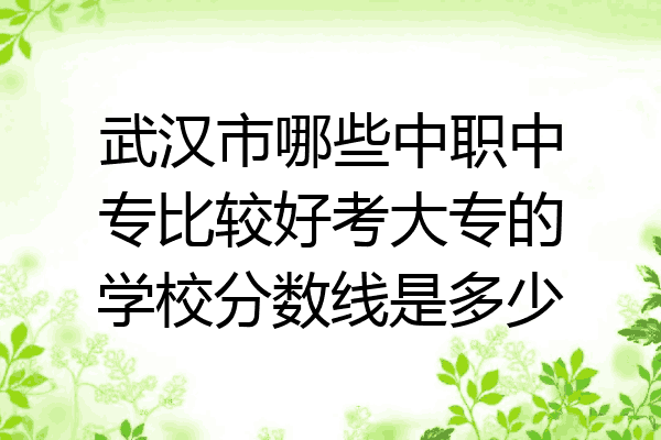 武汉市哪些中职中专比较好考大专的学校分数线是多少