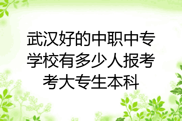 武汉好的中职中专学校有多少人报考考大专生本科