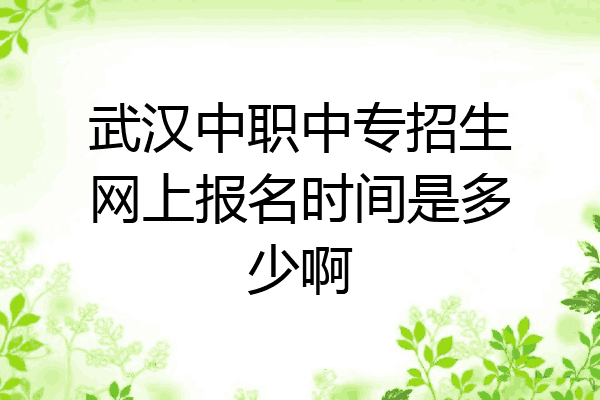 武汉中职中专招生网上报名时间是多少啊