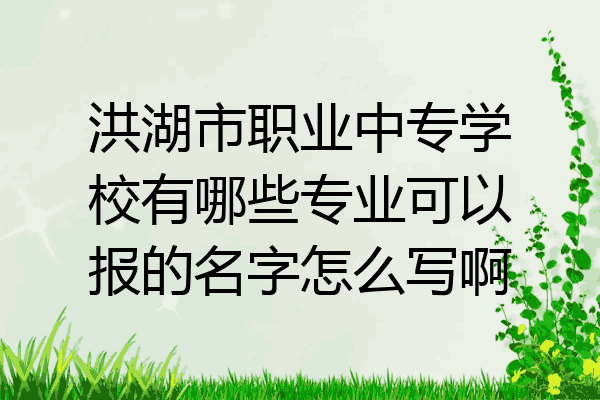 洪湖市职业中专学校有哪些专业可以报的名字怎么写啊