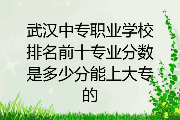 武汉中专职业学校排名前十专业分数是多少分能上大专的