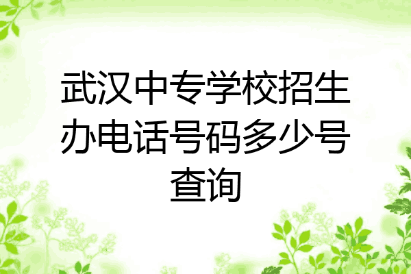 武汉中专学校招生办电话号码多少号查询