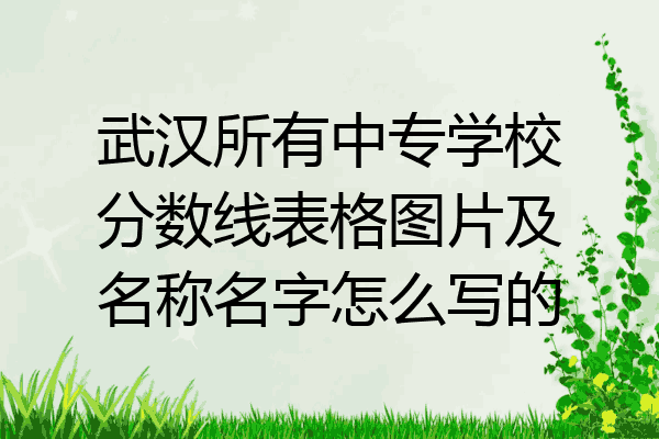 武汉所有中专学校分数线表格图片及名称名字怎么写的