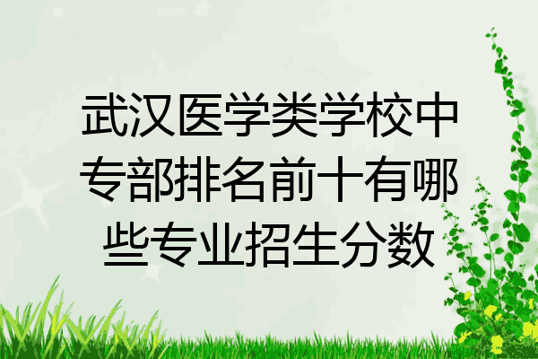 武汉医学类学校中专部排名前十有哪些专业招生分数