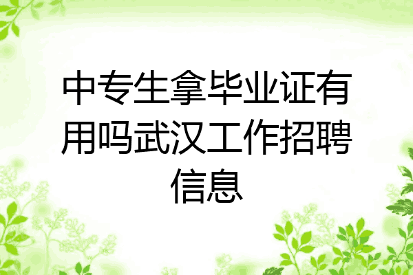 中专生拿毕业证有用吗武汉工作招聘信息