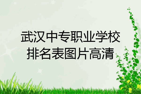 武汉中专职业学校排名表图片高清