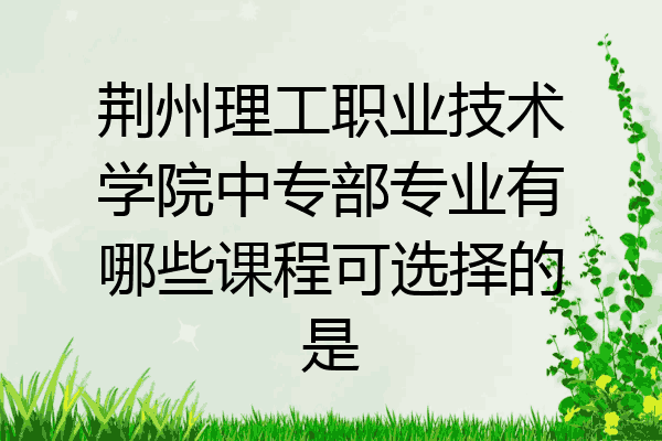 荆州理工职业技术学院中专部专业有哪些课程可选择的是