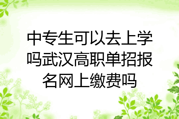 中专生可以去上学吗武汉高职单招报名网上缴费吗