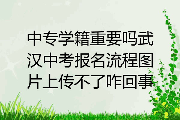 中专学籍重要吗武汉中考报名流程图片上传不了咋回事