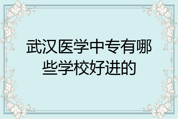武汉医学中专有哪些学校好进的