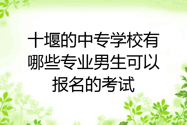 十堰的中专学校有哪些专业男生可以报名的考试