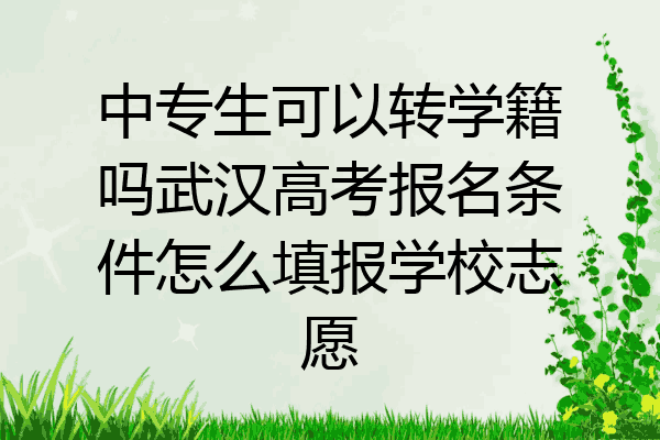 中专生可以转学籍吗武汉高考报名条件怎么填报学校志愿
