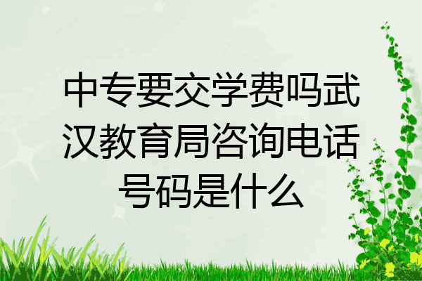 中专要交学费吗武汉教育局咨询电话号码是什么