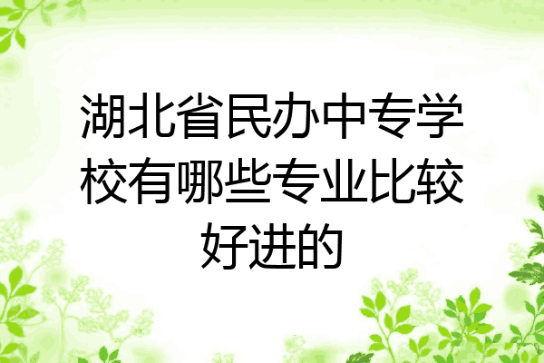 湖北省民办中专学校有哪些专业比较好进的