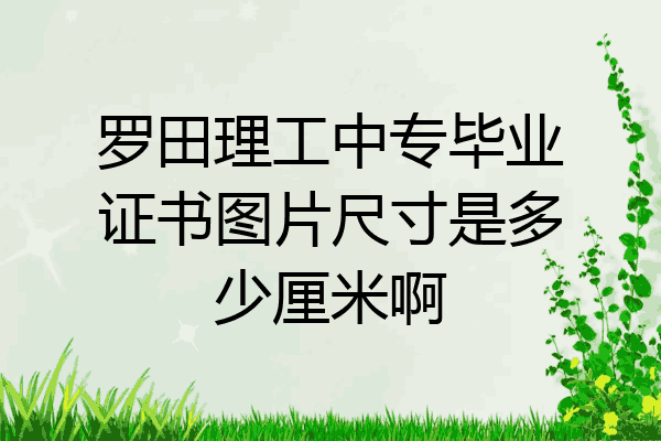 罗田理工中专毕业证书图片尺寸是多少厘米啊