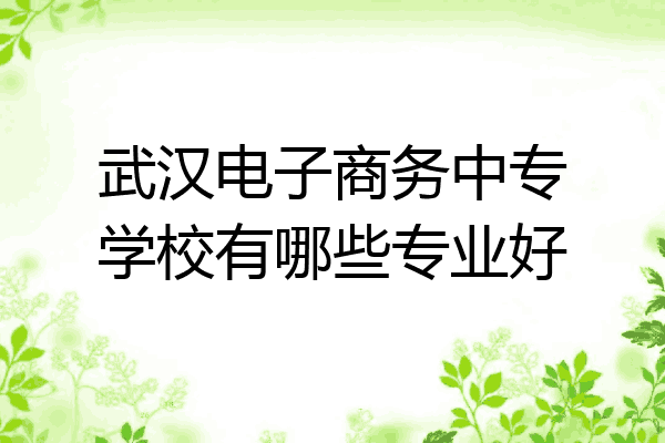 武汉电子商务中专学校有哪些专业好