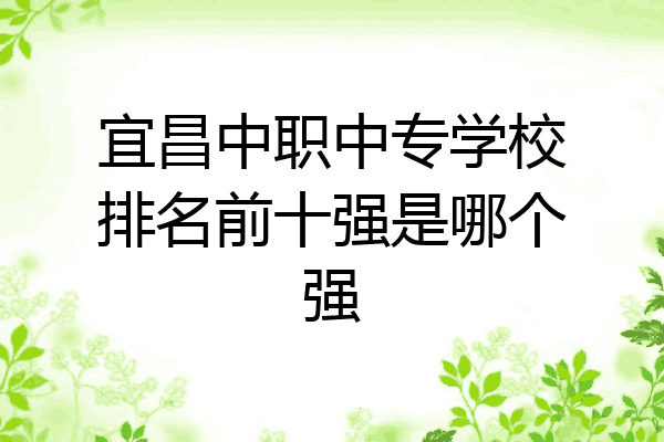 宜昌中职中专学校排名前十强是哪个强