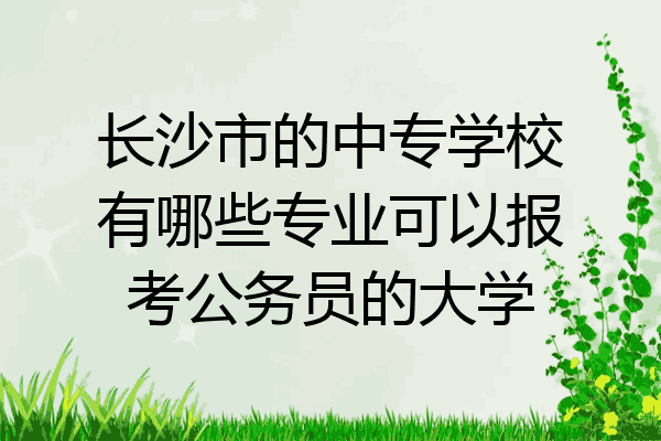 长沙市的中专学校有哪些专业可以报考公务员的大学