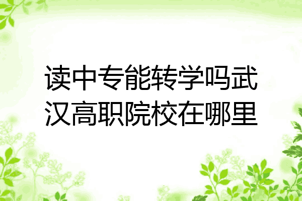 读中专能转学吗武汉高职院校在哪里